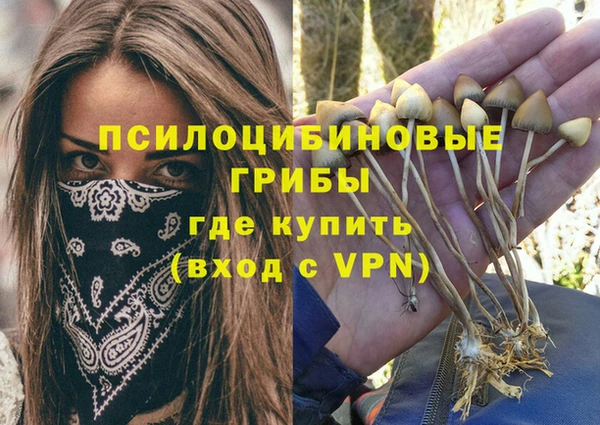 марихуана Бородино