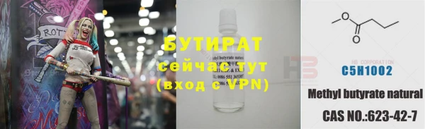 индика Богородицк