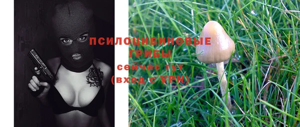 дурь Волосово