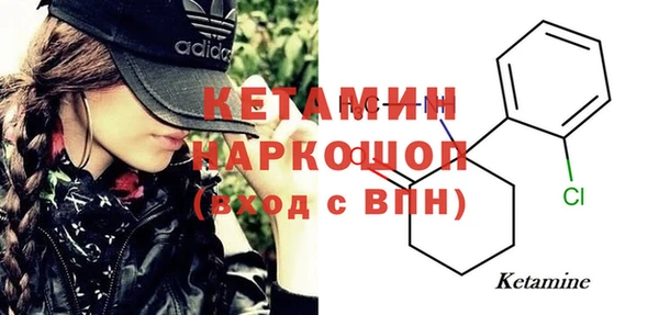 индика Богданович